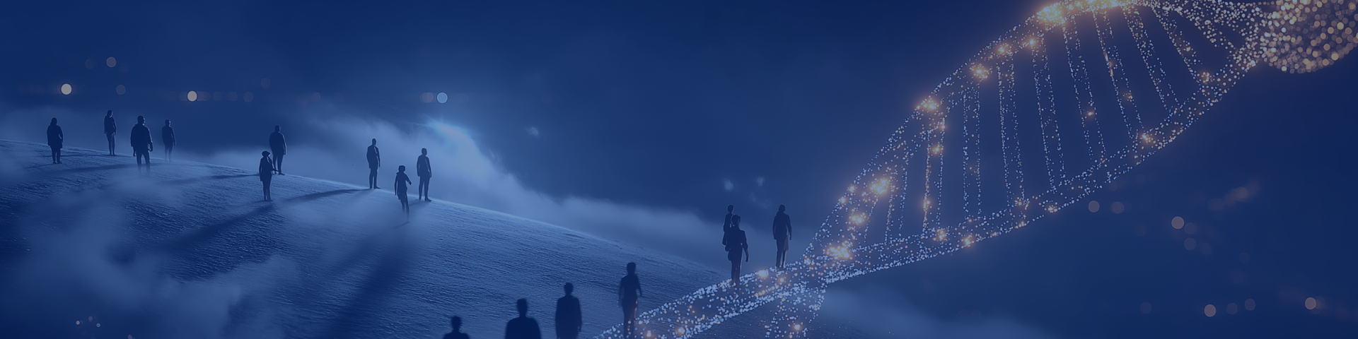 page banner