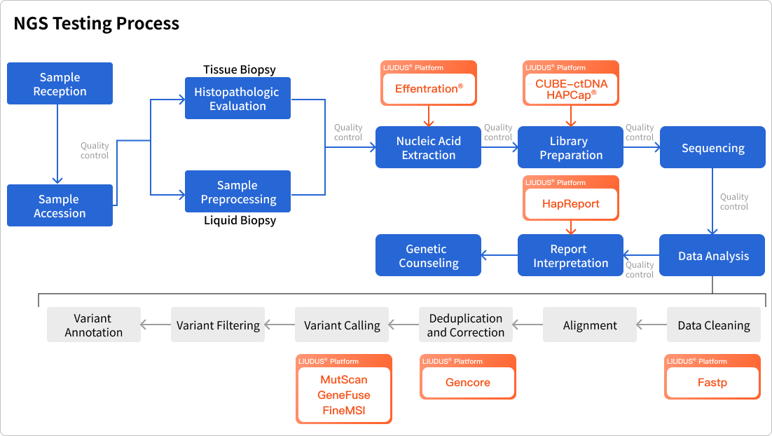 NGS检测全流程