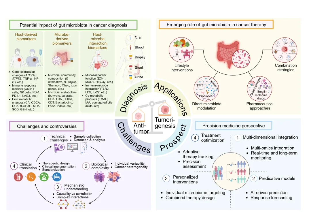 Gut microbiota in cancer: From molecular mechanisms to precision medicine applications