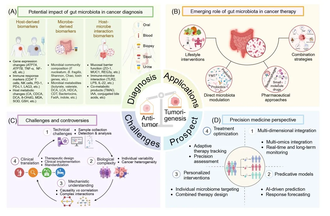 Gut microbiota in cancer: From molecular mechanisms to precision medicine applications