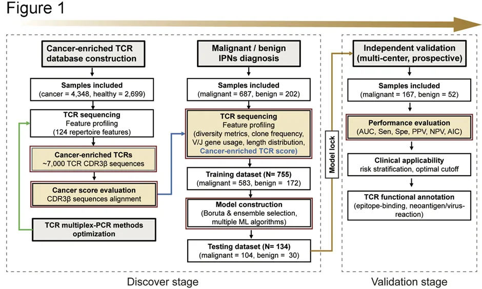 Large-Scale T-cell Receptor Repertoire Profiling Unveils Tumor-Specific Signals for Diagnosing Indeterminate Pulmonary Nodules