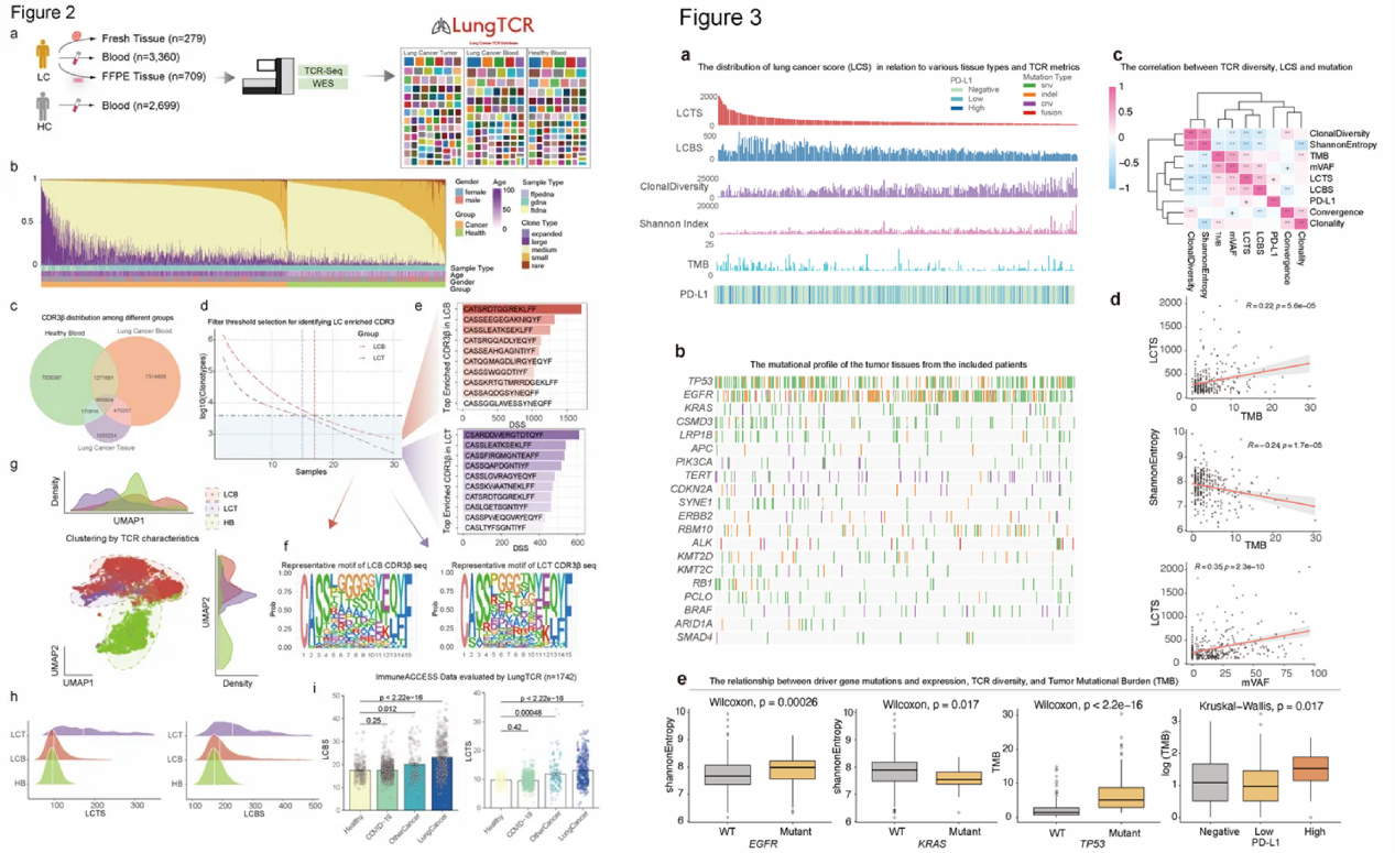 Large-Scale T-cell Receptor Repertoire Profiling Unveils Tumor-Specific Signals for Diagnosing Indeterminate Pulmonary Nodules
