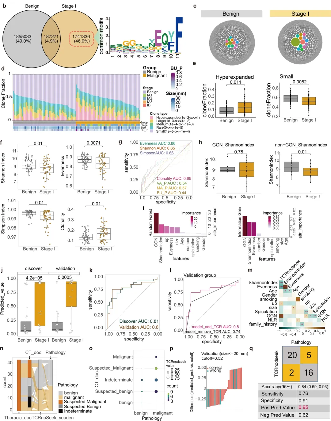 Characteristics and significance of peripheral blood T-cell receptor repertoire features in patients with indeterminate lung nodules