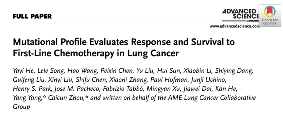 Mutational Profile Evaluates Response and Survival to First-Line Chemotherapy in Lung Cancer