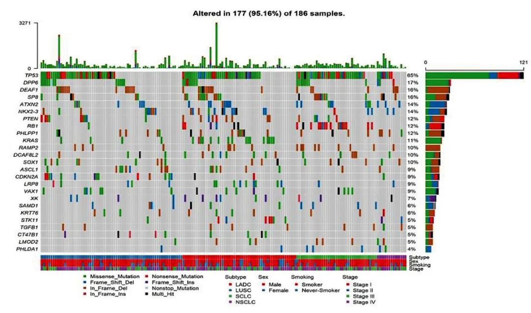 Mutational Profile Evaluates Response and Survival to First-Line Chemotherapy in Lung Cancer