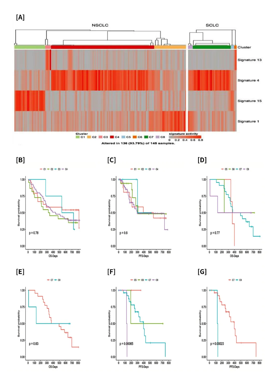 Mutational Profile Evaluates Response and Survival to First-Line Chemotherapy in Lung Cancer