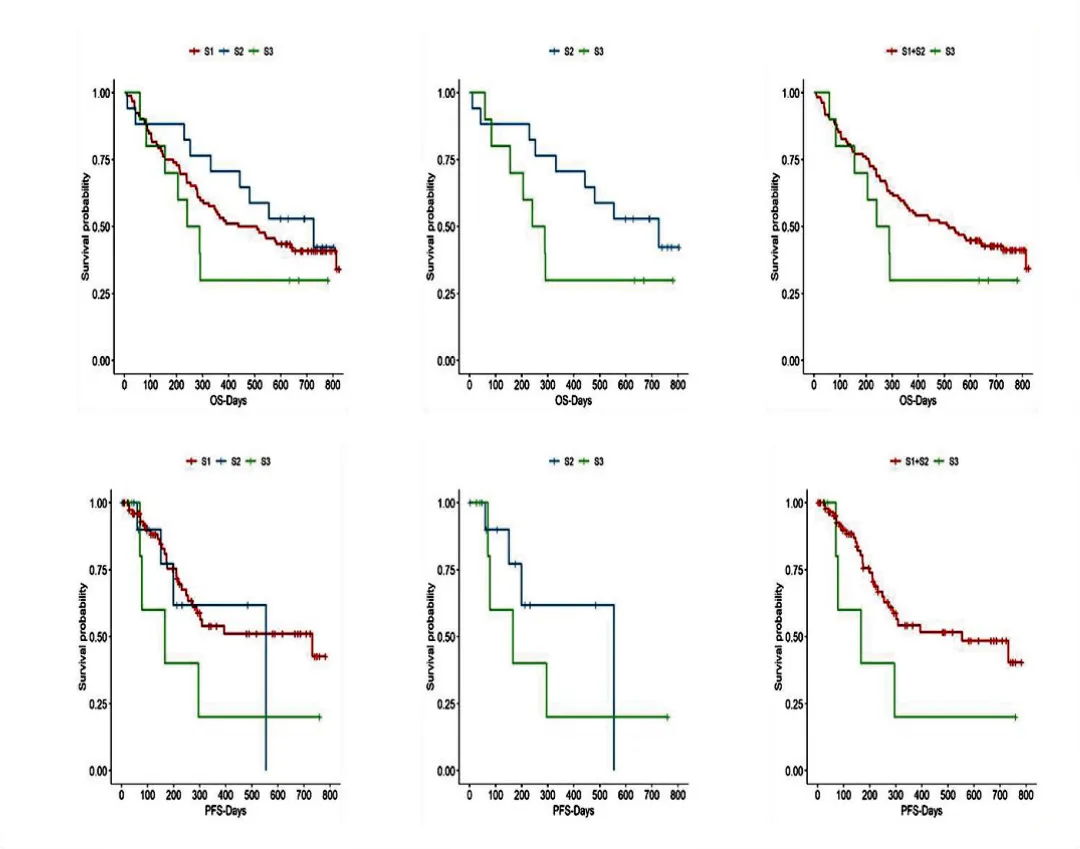 Mutational Profile Evaluates Response and Survival to First-Line Chemotherapy in Lung Cancer