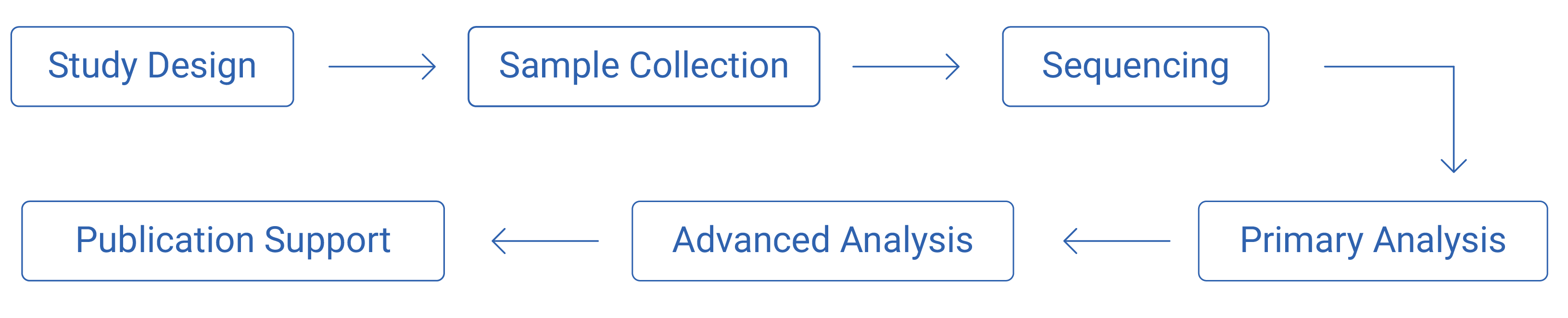 Exploratory Research Workflow