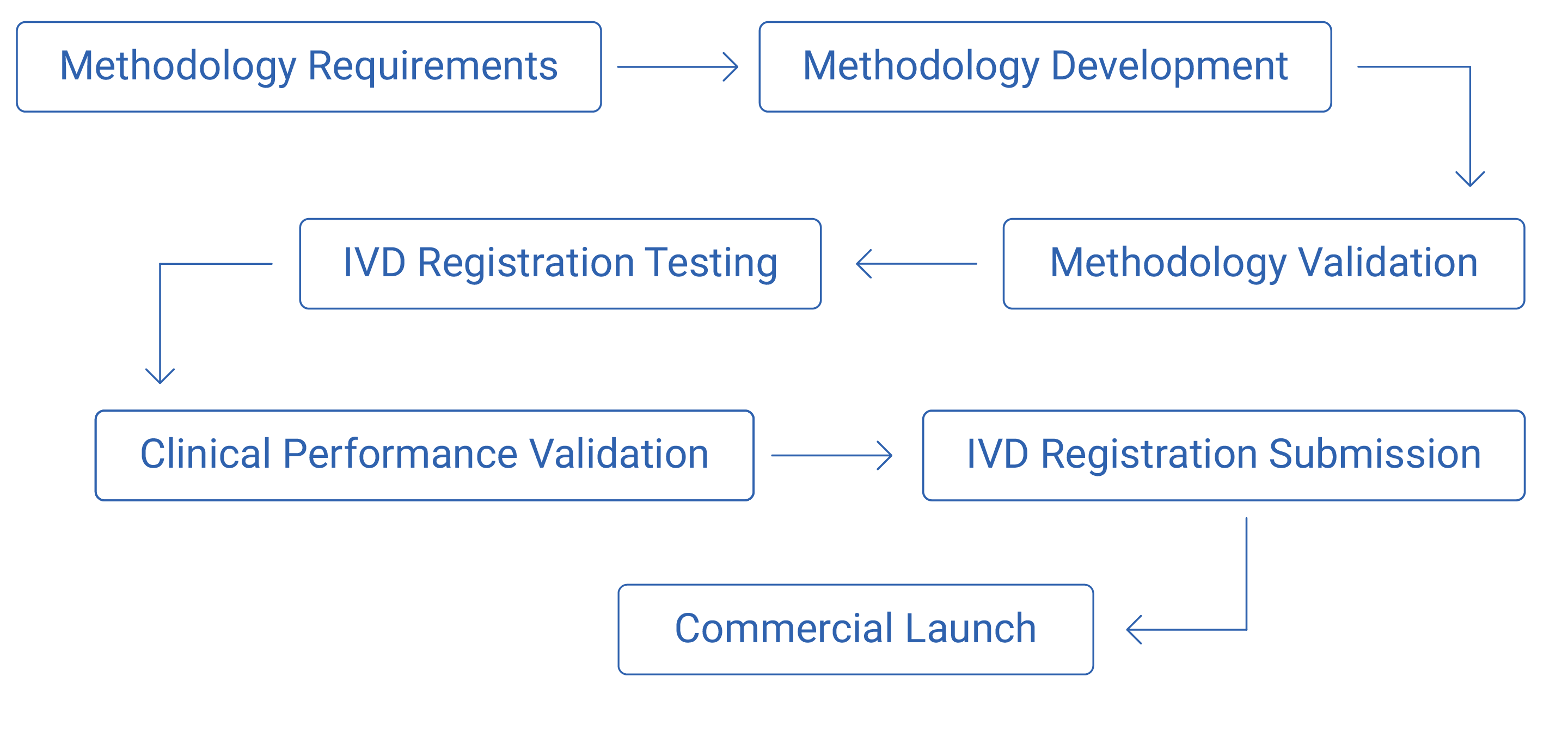 Companion Diagnostic Workflow