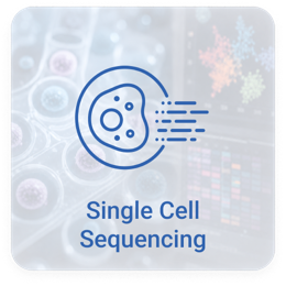 Single Cell Sequencing