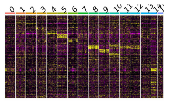 Expression heatmap of differential genes in spot subsets
