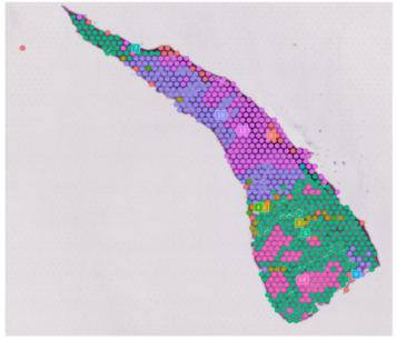 Spatial distribution map of clusters
